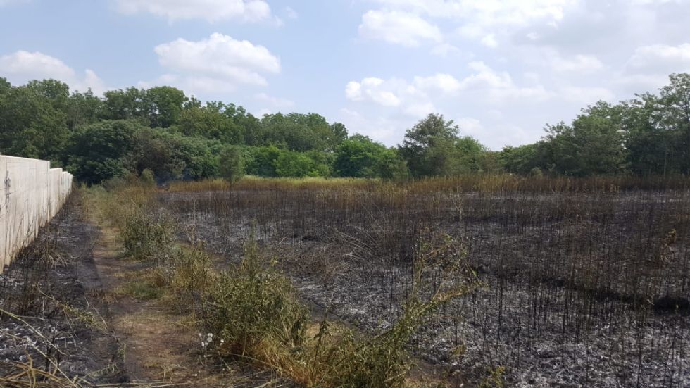 TROFARELLO - Brucia un campo di sterpaglie vicino al cimitero