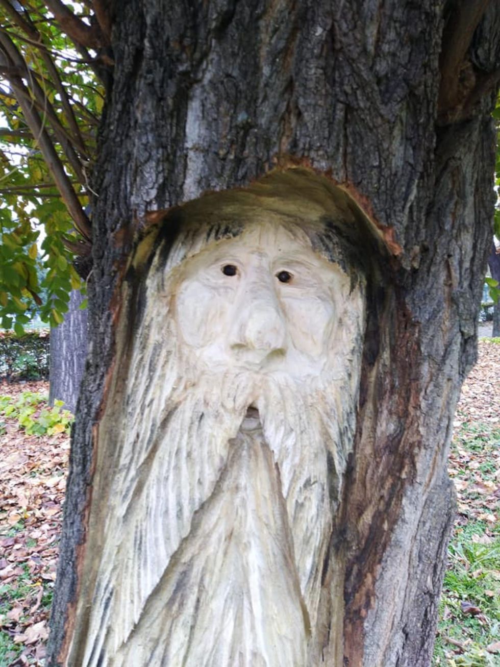 ORBASSANO - Gli alberi abbattuti diventano sculture di folletti e gnomi