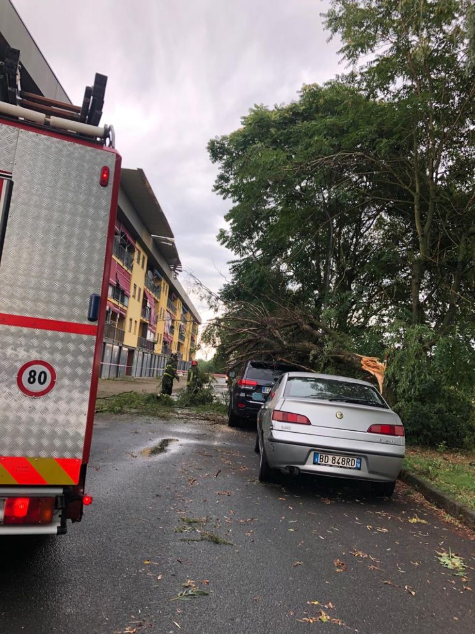 CARMAGNOLA - Tromba d'aria si abbatte sulla città: danni ingenti