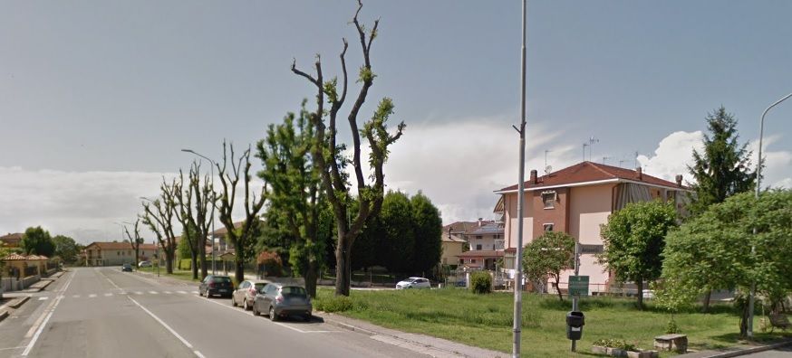 CARMAGNOLA - Polemiche e petizioni per salvare delle aree verdi