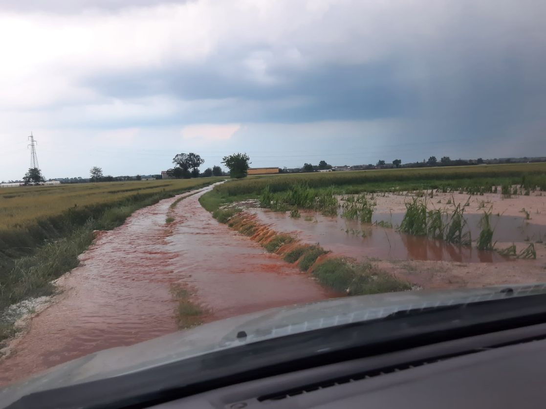PIOSSASCO - La conta dei danni del maltempo della scorsa notte: mais e grano compromessi