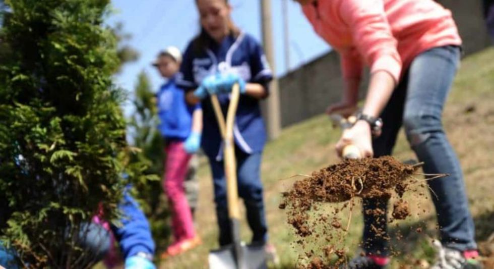 RIVALTA - La citt aderisce alla campagna ambientalista #Unalberoinpi