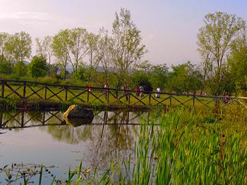 ORBASSANO - Nasce l'Oasi Sangone; parco avventura, area fitness e orti urbani