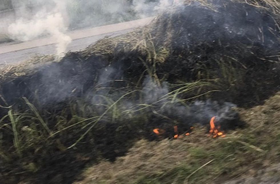 CARMAGNOLA - Prendono fuoco le sterpaglie lungo la ferrovia: paura in serata