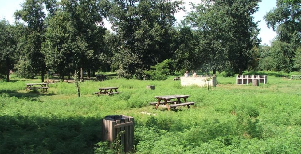 NICHELINO - Riapre lo spazio barbecue al parco Boschetto