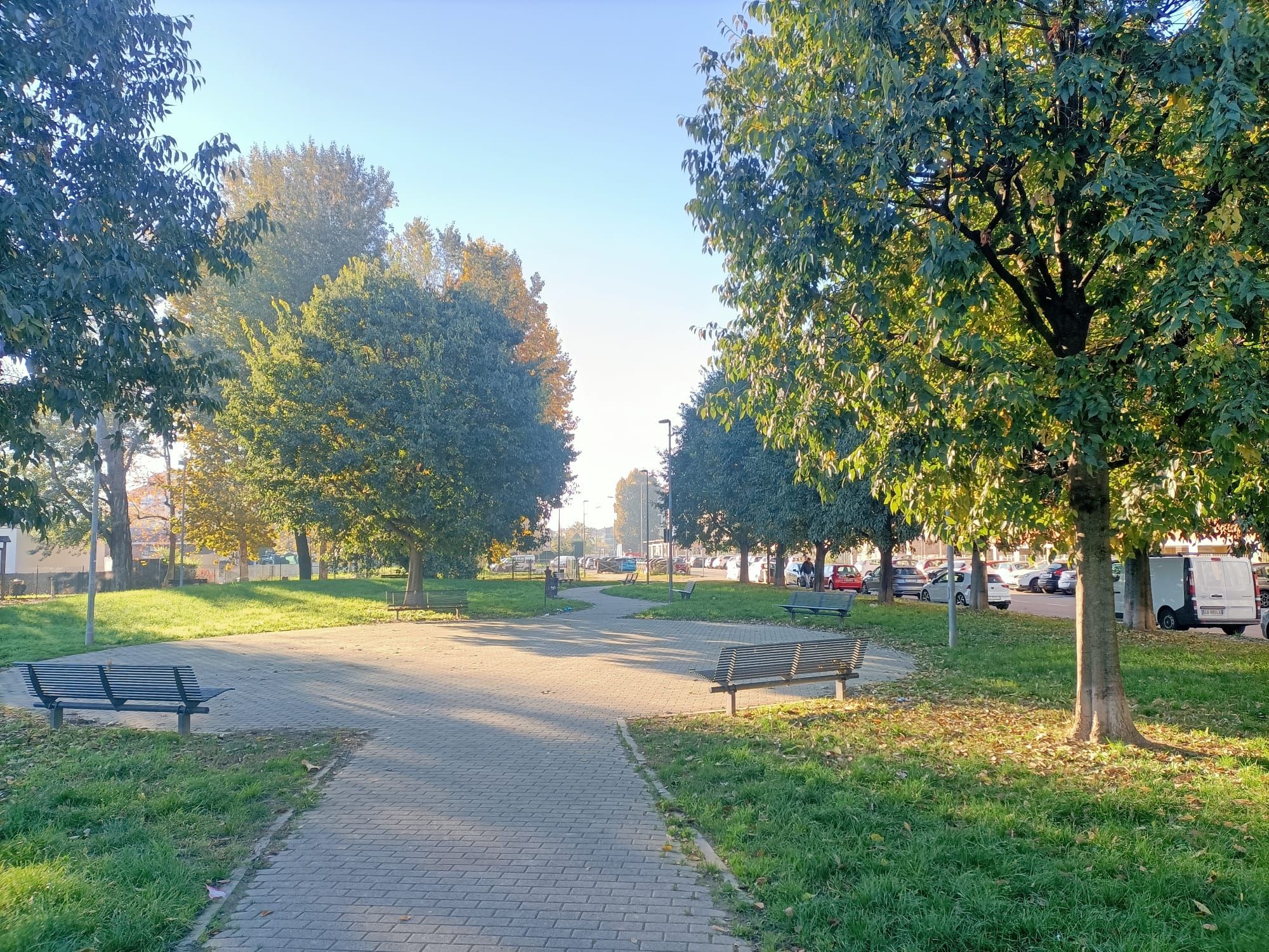 MONCALIERI - Salva un uomo che si stava impiccando ad un albero nel parco di via Papa Giovanni