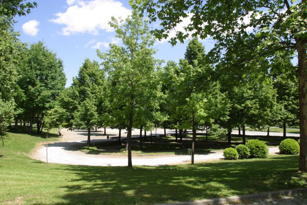 CARMAGNOLA - Alberi malati e pericolosi alla Vigna: nove abbattimenti previsti