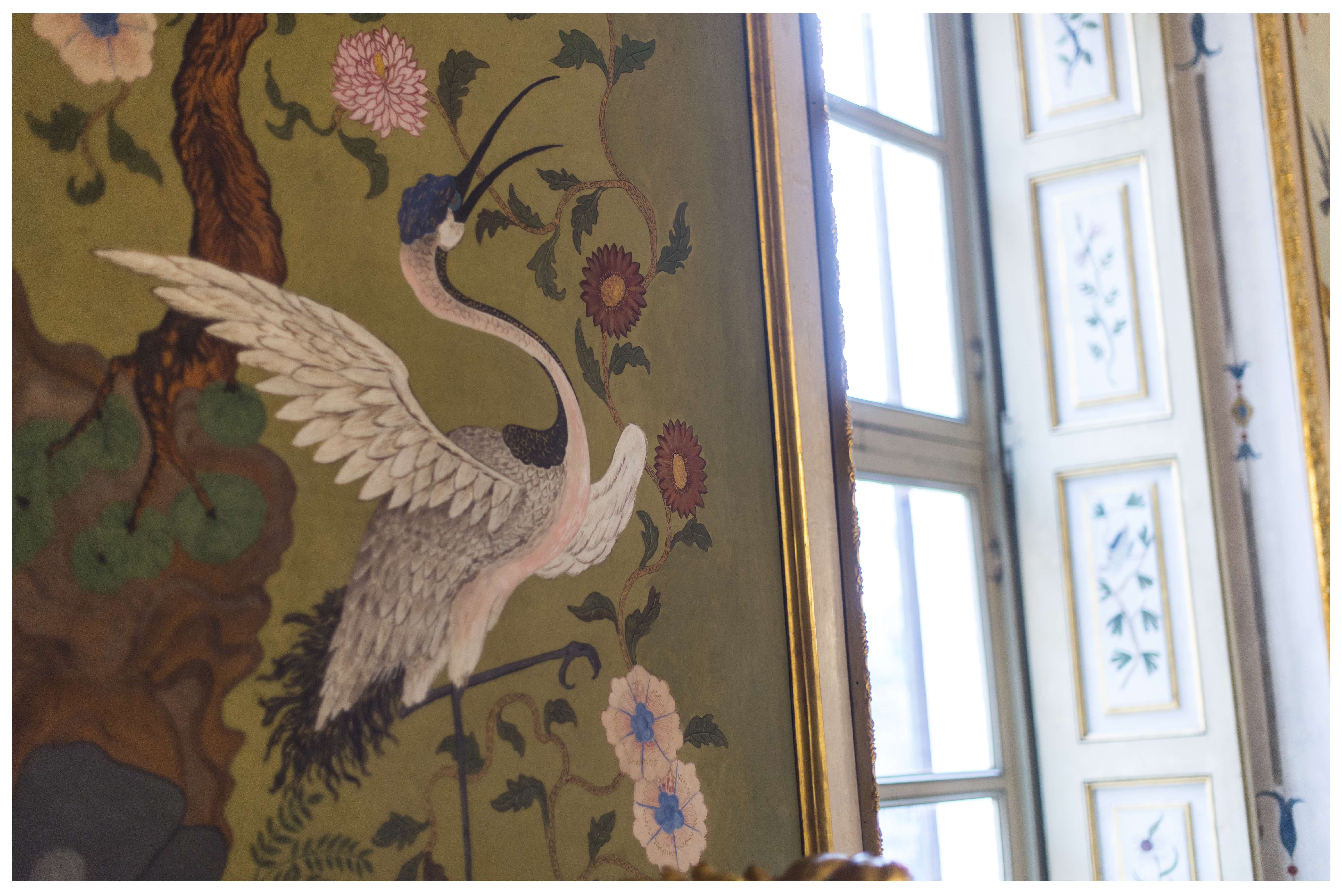 STUPINIGI - Birdwatching e appuntamenti family friendly alla Palazzina di Caccia