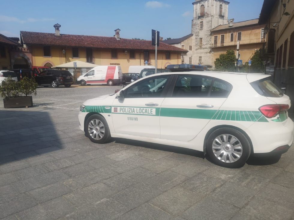 BRUINO - Cuccioli di cagnolino appena nati gettati nella spazzatura
