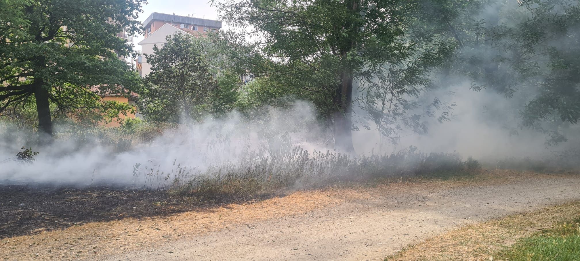 NICHELINO - Chiusura parziale del parco Boschetto a causa dell'incendio