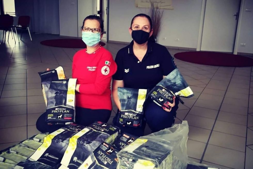 NICHELINO - La Croce Rossa ha distribuito cibo per cani alle famiglie in difficoltà
