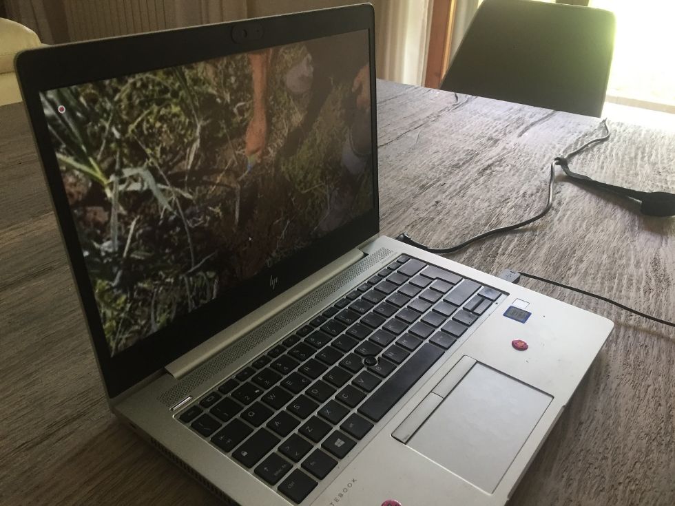 MONCALIERI - L'istituto Centro storico sperimenta la tele gita virtuale per gli alunni