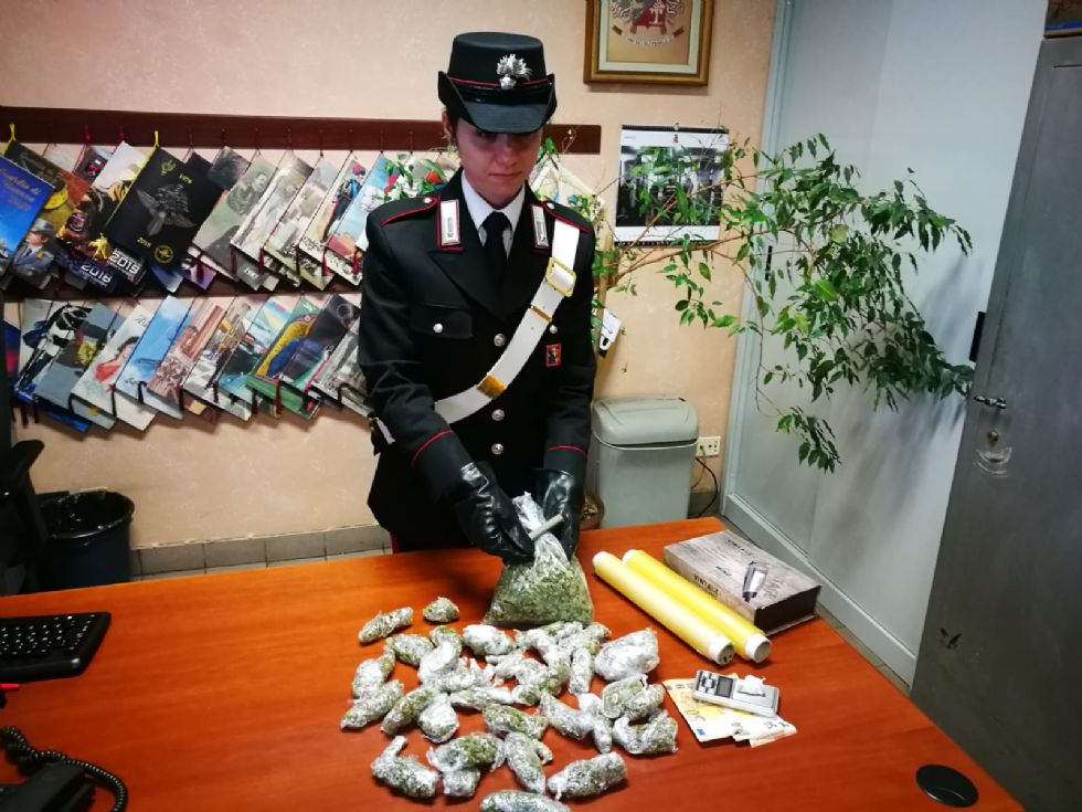 ORBASSANO - Nascondeva quasi mezzo chilo di marijuana in casa: arrestato