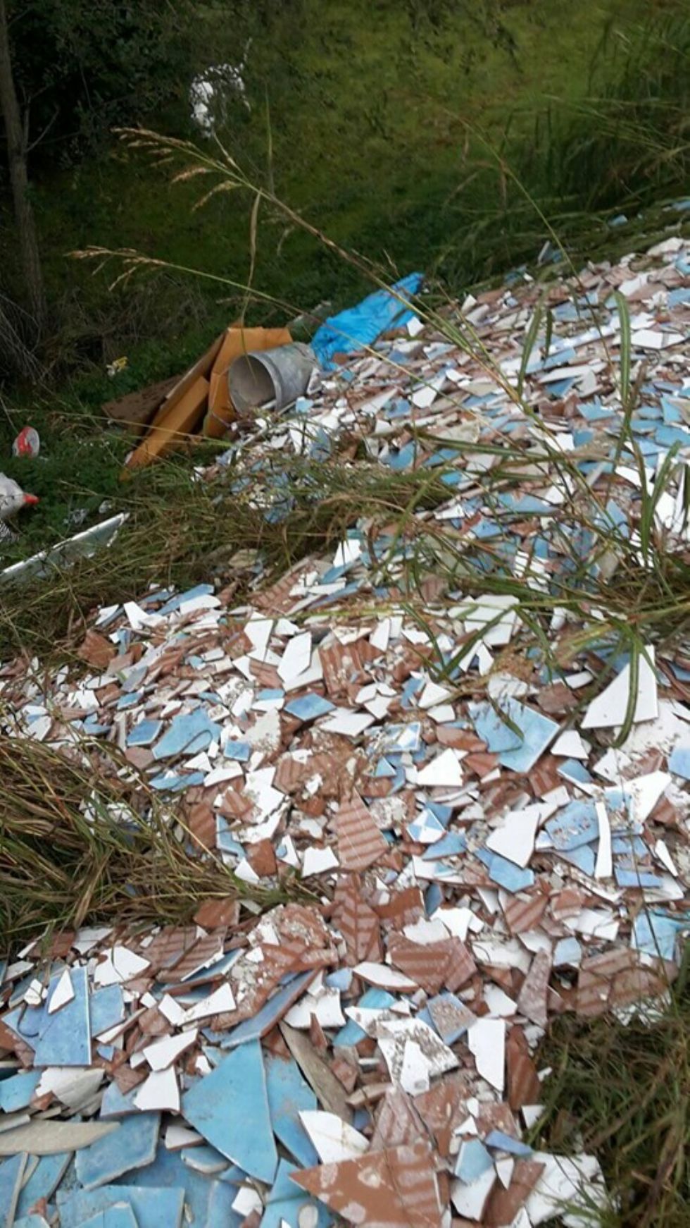 LA LOGGIA - Discarica abusiva sul margine destro del Po: resti edili e fogli scritti in lingua dell'est