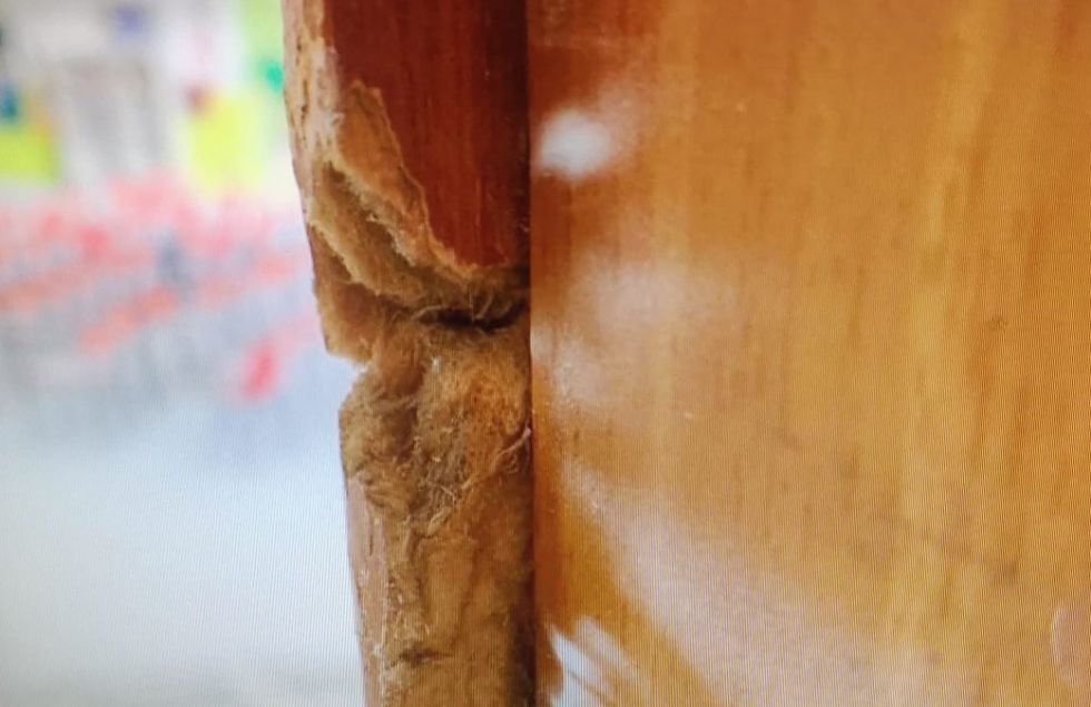 NICHELINO - Vandali in azione alla scuola Manzoni: indagano i carabinieri
