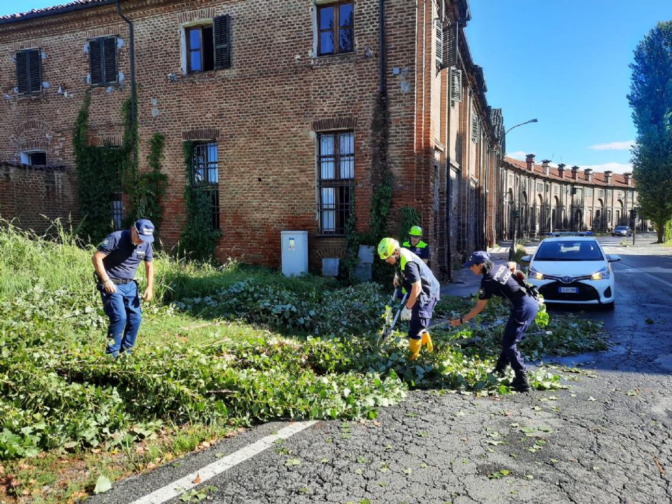 MALTEMPO - Domenica ancora contrassegnata da alberi caduti e disagi. MIglioramenti da oggi