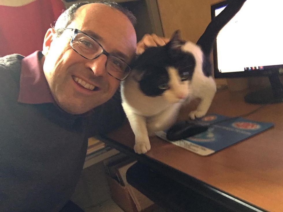 BRUINO - Il gattino scappa da casa e trova rifugio in Municipio: riconsegnato ai padroni