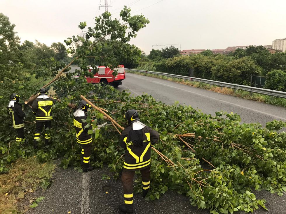MALTEMPO - Bomba d'acqua in cintura sud: alberi caduti e allagamenti