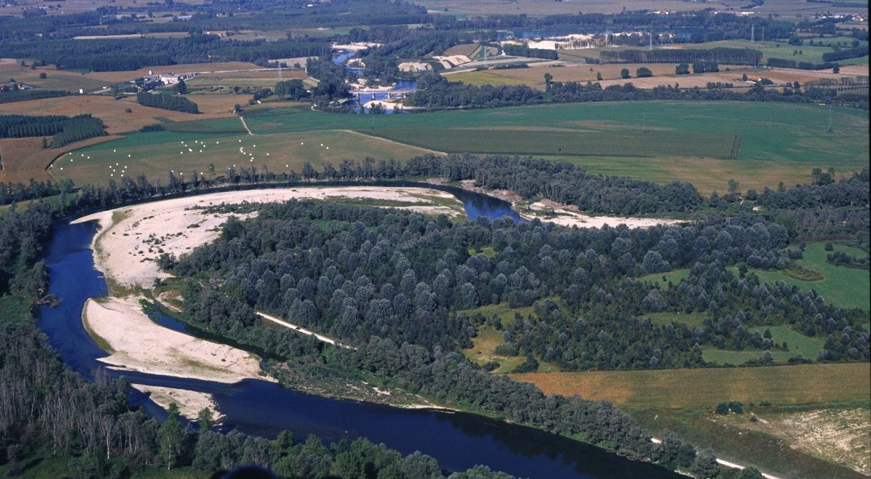 CARMAGNOLA Il Comune Amplia Il Bosco Del Gebasso Con Nuove Piante