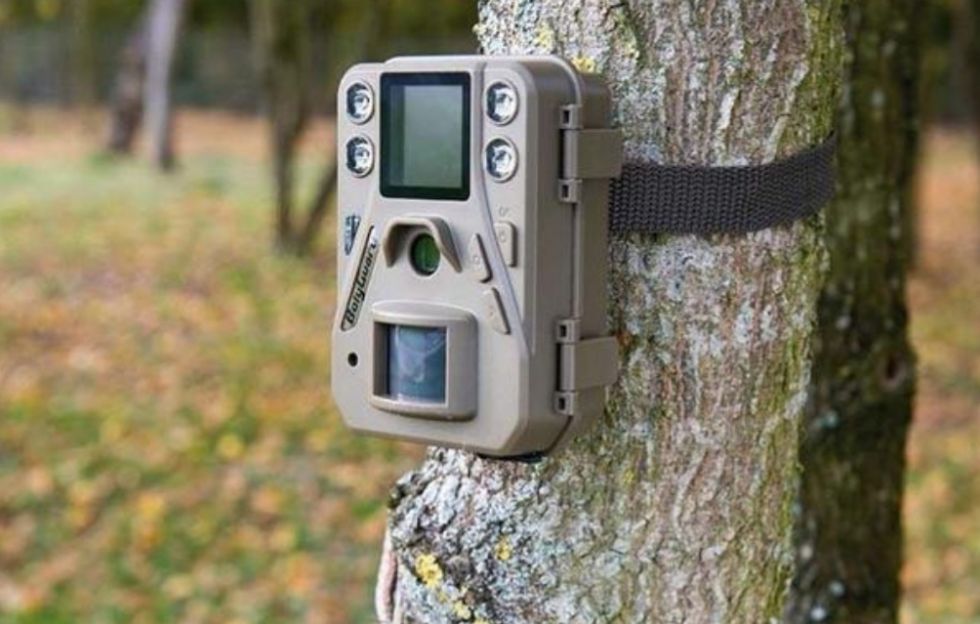 CARMAGNOLA - Fototrappole in città per scovare i furbetti dei rifiuti