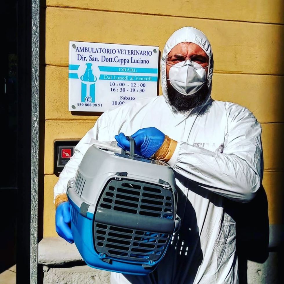 NICHELINO - Il gattino rischia di morire ma i padroni hanno il virus: lo salva la Croce rossa