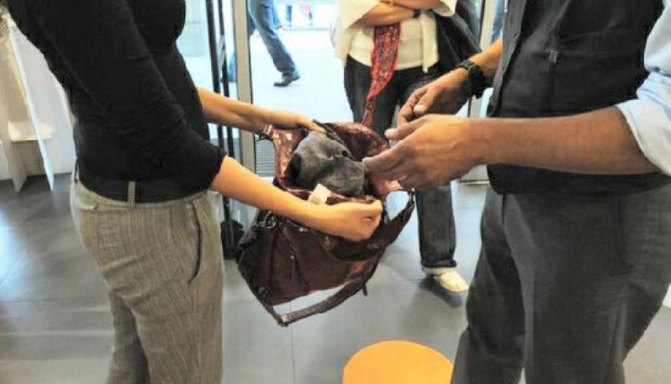 RIVALTA - Cerca di rubare vestiti con una borsa schermata: denunciata
