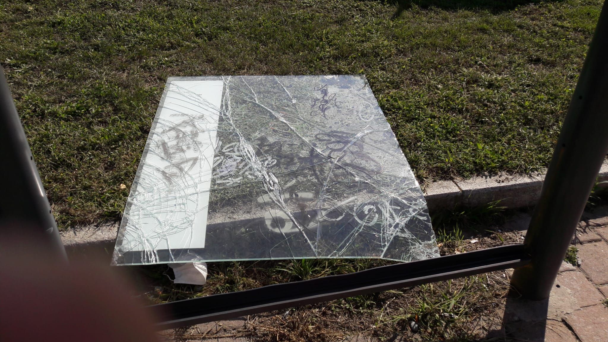 MONCALIERI - Vandali sfasciano la fermata del bus di via Villafranca